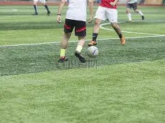 日本乒乓球,主力球员涉,嫌婚外情,pg286娱乐链接,pg286娱乐官网地址,pg286娱乐官方平台,pg286娱乐入口站点